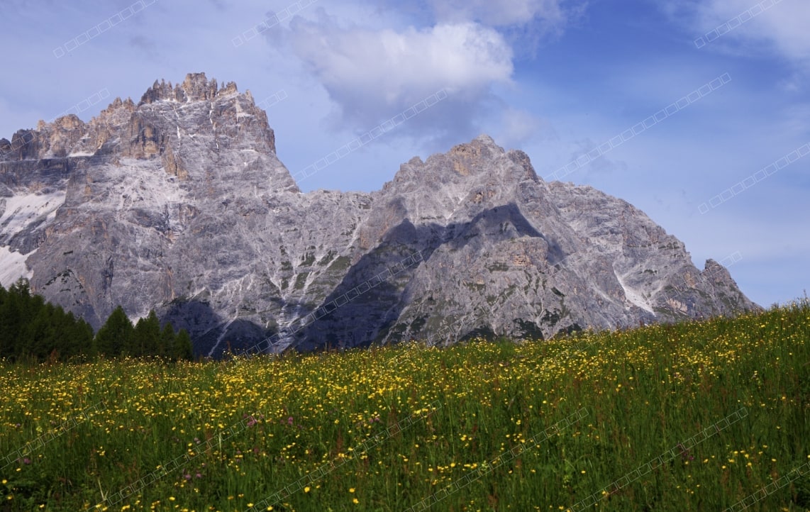 Sextner Rotwandwiesen (LANDSCAPE)